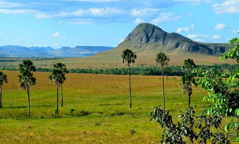 ONG de SP poderá captar R$ 10 milhões, via Lei Rouanet, para projeto na Chapada dos Veadeiros