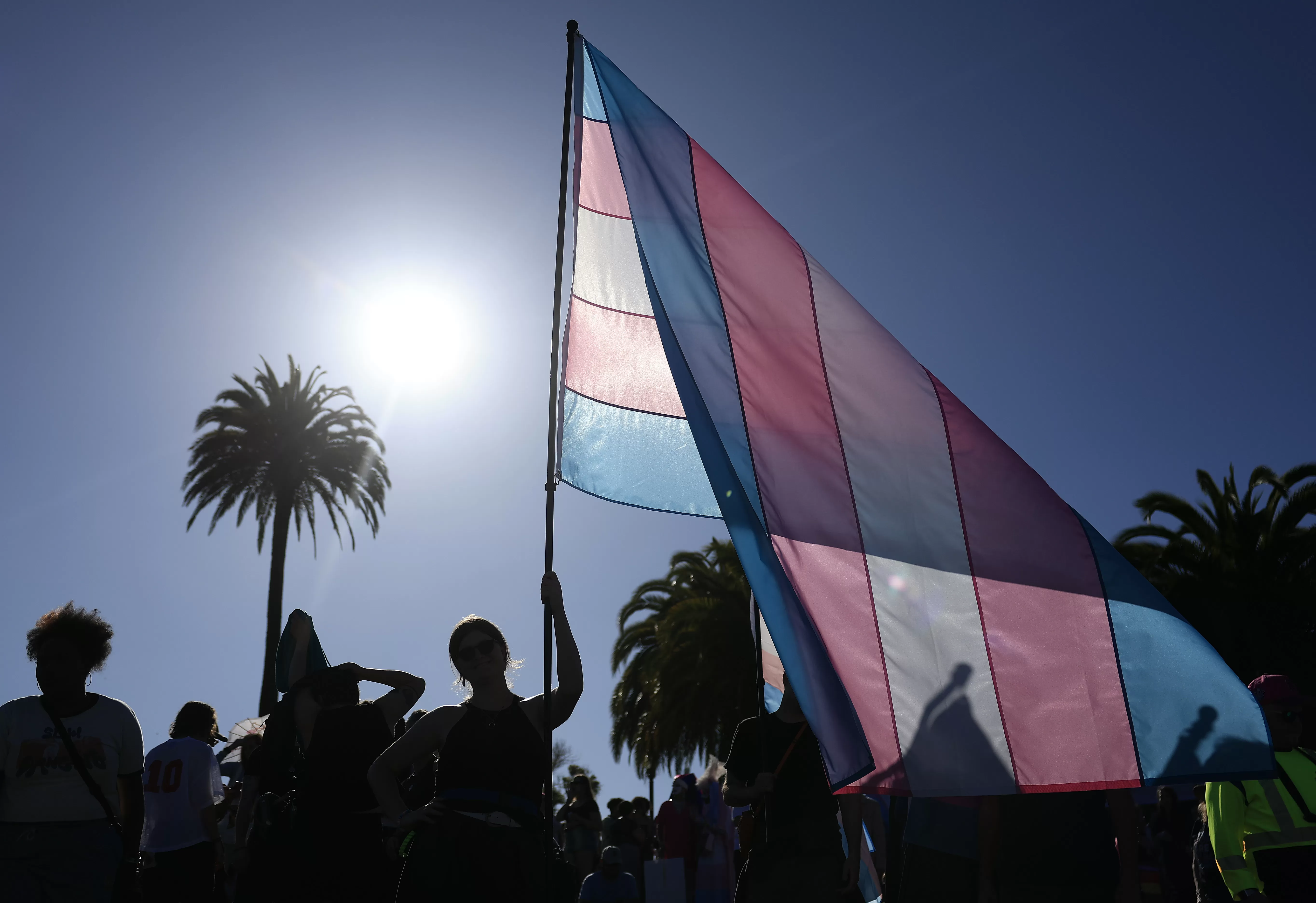 Manual TRANScender: o guia de diretrizes para cirurgias na população trans