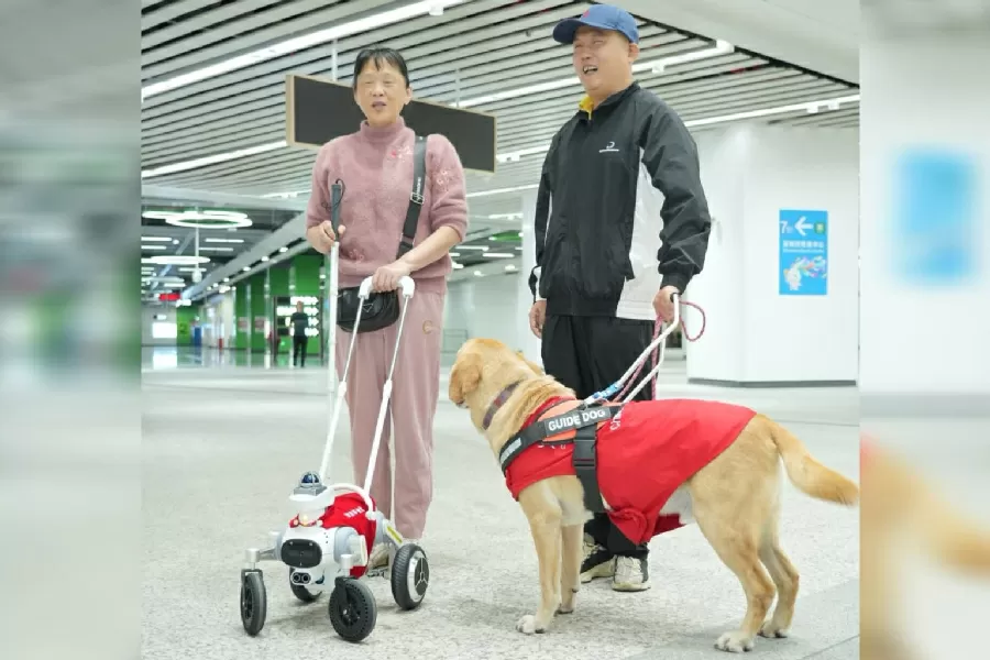 China testa “cão-guia robô” em estação de metrô