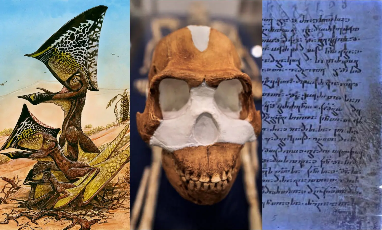 Dez das descobertas científicas mais surpreendentes de 2023