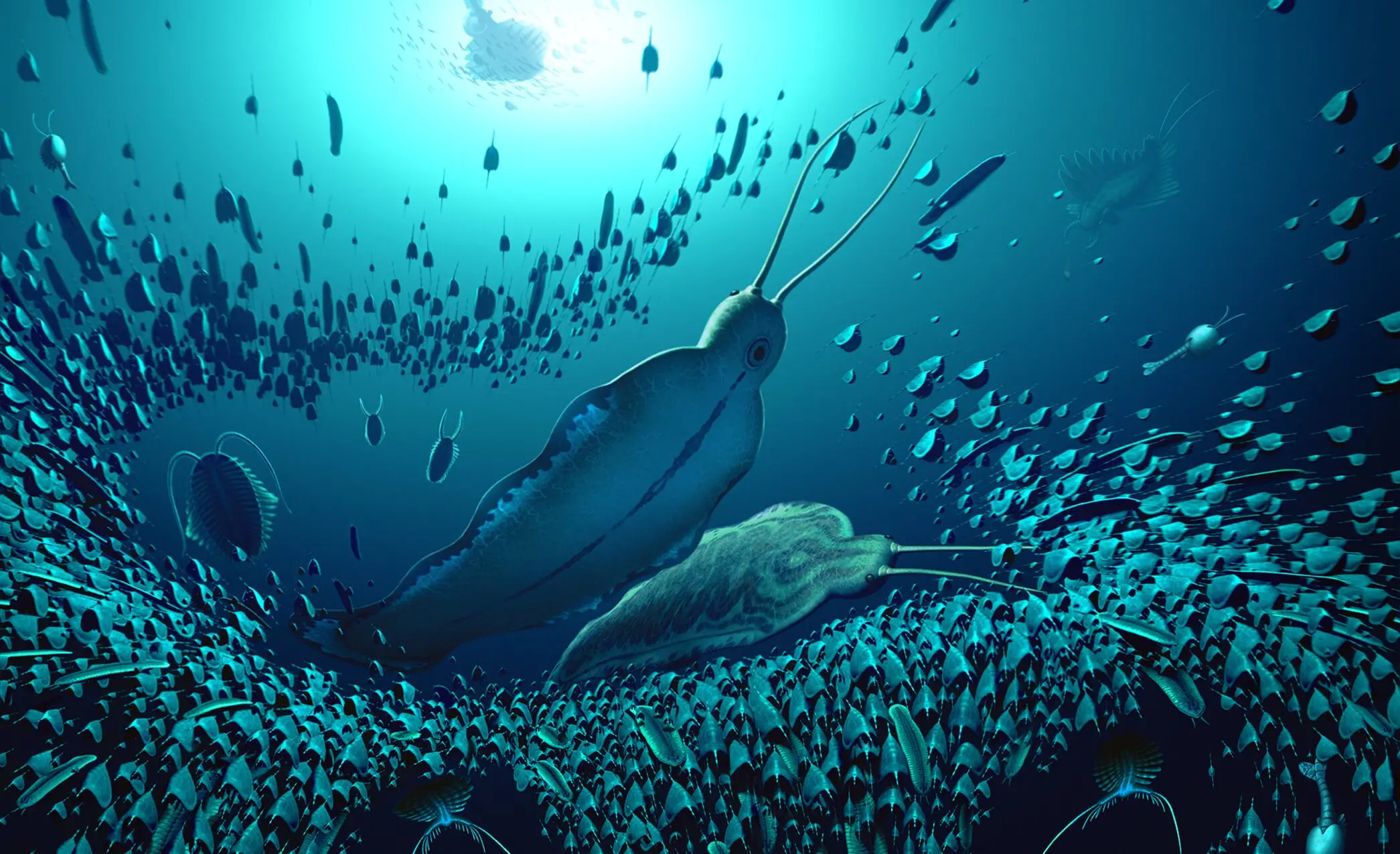 Fóssil de verme gigante é encontrado na Groenlândia