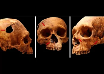 Estudo revela evidências de violência em uma época de crise no antigo Peru