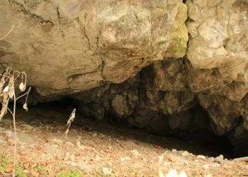 Pesquisa brasileira investiga os traços dos últimos neandertais