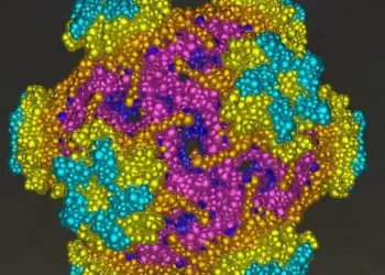 Brasil avança na saúde feminina: novo teste para HPV pode salvar vidas