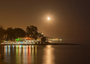 “O Futuro do Mercado Imobiliário na Costa del Sol”