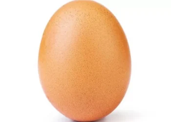 Substância encontrada no ovo e outros alimentos tem potencial contra diversas doenças