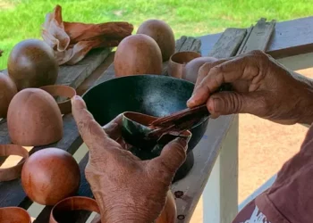 Cuias feitas por mulheres indígenas abasteciam o mercado de luxo europeu no século XVIII