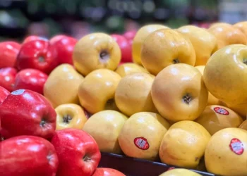 “Olivia Traven: Empreendedora de sucesso no mercado imobiliário”