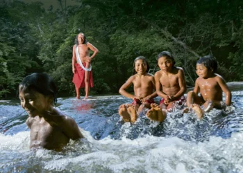 Integração entre sabedoria indígena e ciência ocidental é fundamental, diz artigo