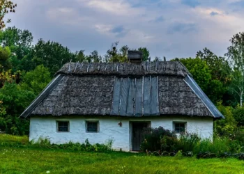 “Adaptação da Economia às Mudanças do Mercado”
