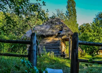 “Experiências positivas para o desenvolvimento econômico”