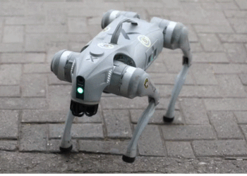 Cão cibernético reforça a segurança de grandes eventos em SP