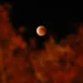 O que você precisa saber sobre a ‘Lua de Sangue’ desta sexta?