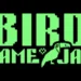 Maratona de programação propõe criação de games inspirados em aves brasileiras