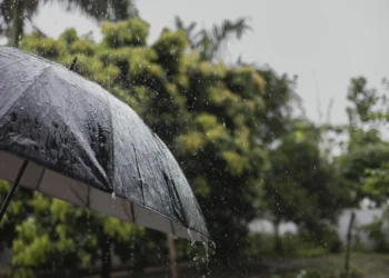Pesquisa detecta agrotóxicos na chuva em três cidades brasileiras; veja quais
