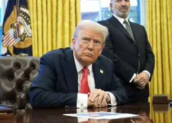 Soja, milho e amendoins. Que produtos importados por Portugal podem sofrer com as tarifas aos EUA?