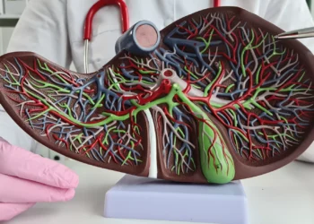 Cientistas chineses anunciam feito inédito que revoluciona o transplante de fígado