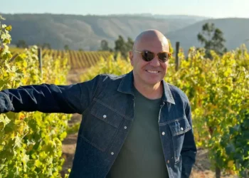 Guia revela as maiores tendências dos vinhos na América do Sul