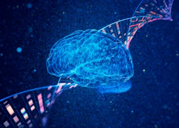 Quer evitar o Alzheimer? Veja os dez mandamentos, segundo a medicina