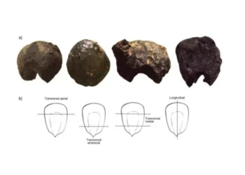 Novas descobertas revelam como viviam os Guarani antes da chegada dos colonizadores