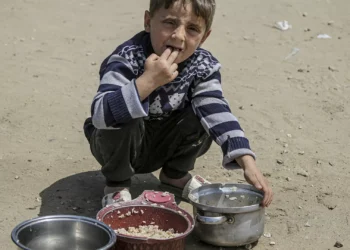 Padarias de Gaza voltam a laborar.  Primeiros camiões com farinha chegam ao enclave