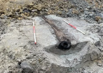 Tubo romano de 1.800 anos é achado intacto sob rua na Bélgica