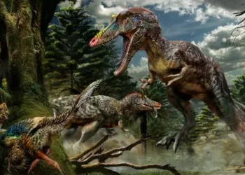 Fósseis no Brasil revelam que dinossauros brigavam entre si há 230 milhões de anos