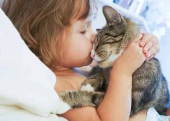 Seu gato reconhece você pelo cheiro? A ciência diz que sim