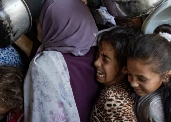 Portugueses juntam-se a marcha pacífica até Gaza: “Queremos uma fronteira aberta à ajuda humanitária”