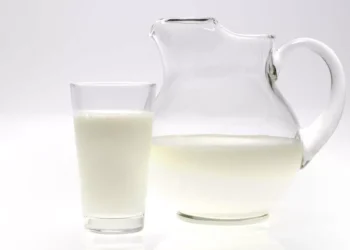 Leite sem vacas? Nova tecnologia produz proteína láctea em laboratório