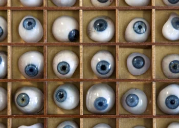 Cientistas criam materiais artificiais que integram células vivas e imitam a natureza