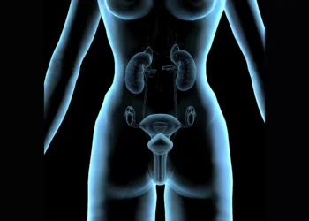 Da mama ao ovário: conquistas contra o câncer que merecem aplausos