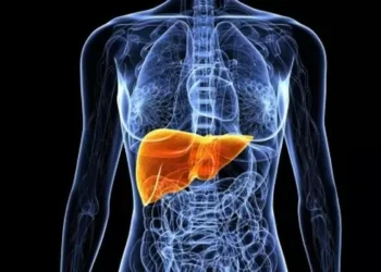 Quase metade dos adultos na América Latina tem gordura no fígado