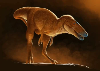 Dinossauro descoberto na Mongólia muda a história do T. rex