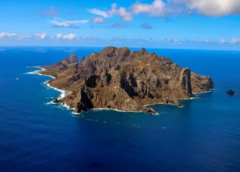 Ilha de Trindade mostra recuperação impressionante da vegetação