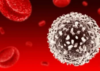 Degradar proteínas: uma nova forma de desestabilizar e atacar o câncer