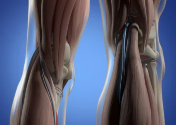 Cartilagem do joelho já pode ser recuperada com terapia regenerativa