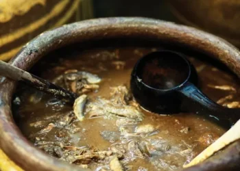 Análise de DNA revela ingrediente culinário favorito da Roma Antiga