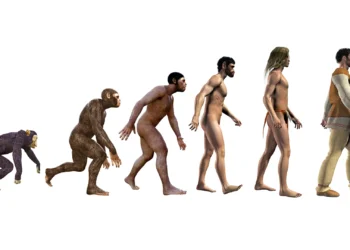 Uma revelação: até andarmos sobre duas pernas, a estrada foi sinuosa e não linear