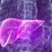 OMS anuncia classificação de tipo de hepatite como cancerígena; saiba mais