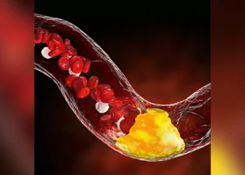 O ‘colesterol amaldiçoado’: entenda o novo risco ao coração