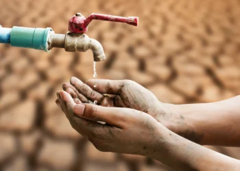 Comércio global de alimentos agrava desigualdade no acesso à água, alerta ONU