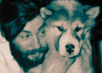 Corpo de cientista é encontrado 66 anos após queda em fenda na Antártida