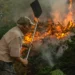 Espanha pede ajuda à UE perante onda de incêndios