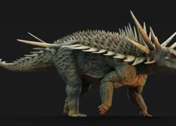 Tanque de guerra jurássico: fóssil revela dinossauro ‘blindado’ no Marrocos