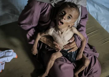 “Fome é ferramenta do exército israelita para destruir a população palestiniana”