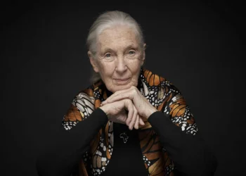 Morre Jane Goodall, que redefiniu a humanidade por meio dos chimpanzés