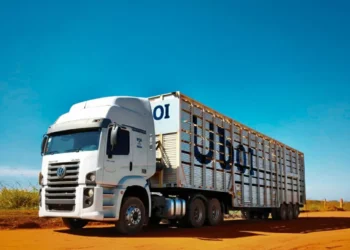 Conhece o Uboi? É tipo Uber, só que para gado