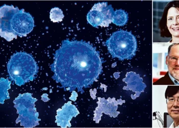 O fator que une os ganhadores do Prêmio Nobel em 2025