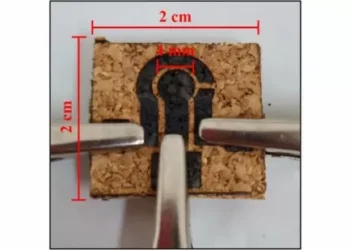 Cientistas transformam cortiça em detector de aditivo tóxico em vinhos, sucos e água